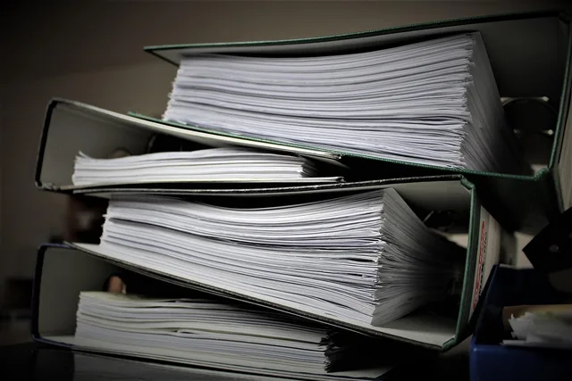 bureaucracy, file folder, paperwork, office, work, bureaucracy, paperwork, paperwork, paperwork, paperwork, paperwork. Email hosting security starts below the inbox, at your DNS records