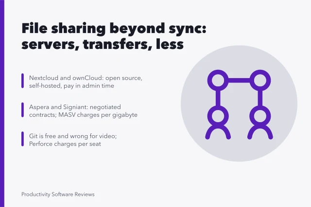 Comparison card of file sharing alternatives: self-hosted servers, managed transfers, versioned repositories. File sharing alternatives beyond sync: servers, transfers and sending less